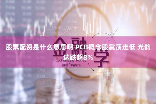 股票配资是什么意思啊 PCB概念股震荡走低 光韵达跌超8%