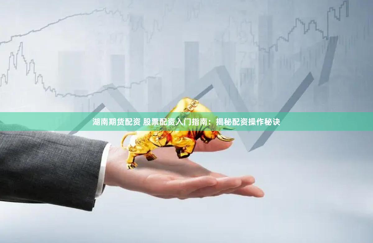 湖南期货配资 股票配资入门指南：揭秘配资操作秘诀